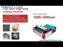 Głowa galwanometru Online-flying CCD Camera Auto Identification CO2 Laser Engraving Cutting Machine